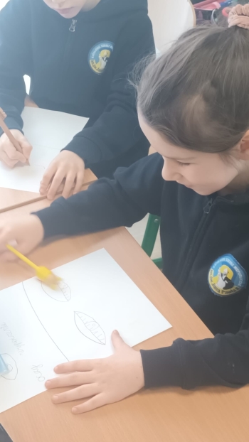 c7826897-24d0-4619-beca-f8edba0579af