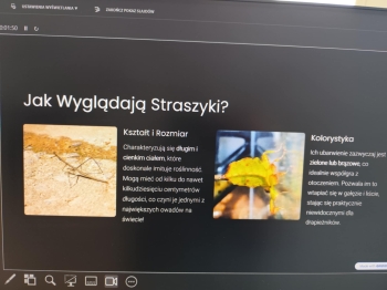 da29287d-57da-446f-b85d-c57e754f608b