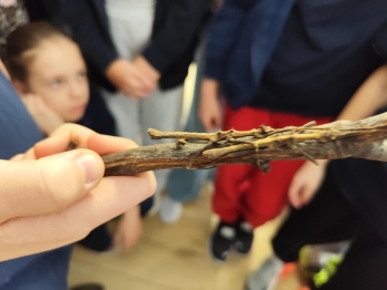 4ec0021f-374b-4627-91f8-095741a6b2a4