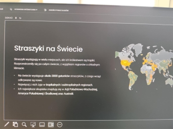 2025edab-d28f-4d62-99e0-f45a607764c5