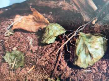 f56bb81b-3607-4dea-b69e-babf4093a22f