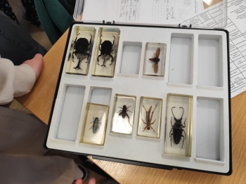 4a4842f2-6492-46bd-802d-a2050c0e1f8b