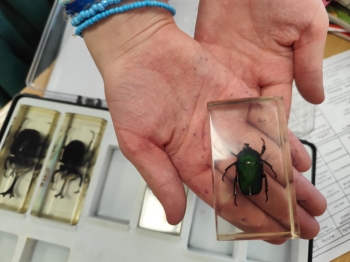 bcf04f23-9eeb-439c-922b-803d7c9803df