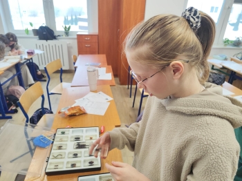 273f6589-4f9a-48d9-bc19-4c072491d0d1