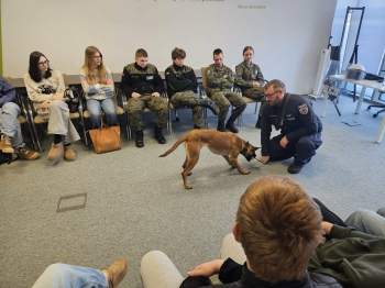 07296aca-5219-486b-96a5-c1c3f9cd4822