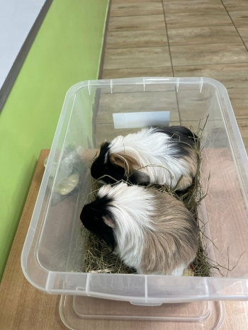 80456248-d730-46e6-a583-4b549912610d