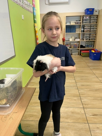 1a2b697c-7b99-488f-be4c-5f87ab775bca