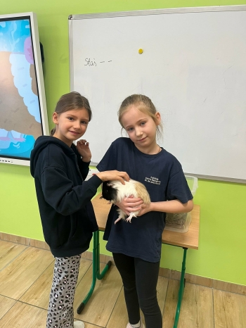 a0297bff-46f4-49b1-9ce2-d3d943f3f003