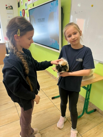 fd08cff6-6e34-4e71-ad5d-be37a73bfe35