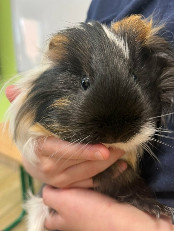 90913edc-fab9-4bcf-aaf8-2d78f784e5b7