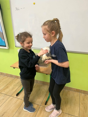 2bd77a74-8518-4d56-a17c-d2cb1e4fcbce