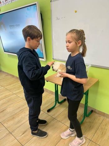 5675a3ba-c22b-4f3d-b1d3-983fa95f647b