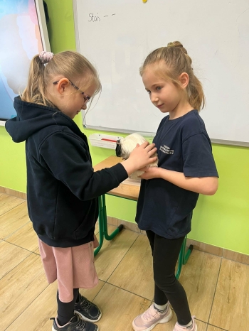 e6a65281-a3a8-4df2-bcce-3bd906c87cf0