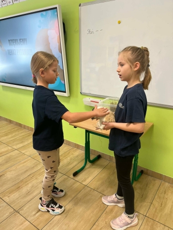 5d46b152-8c6e-4fa1-bcf4-7d8b62cf344a