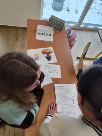 b8662728-6163-49d5-95da-e80432caaa54