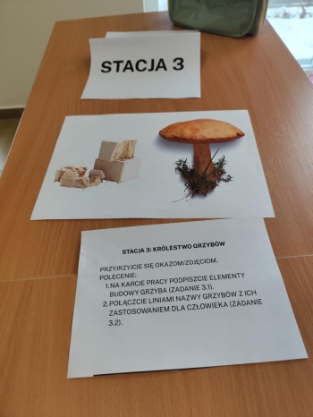 6cd3106a-e846-4330-931a-f4cc97c7ee05