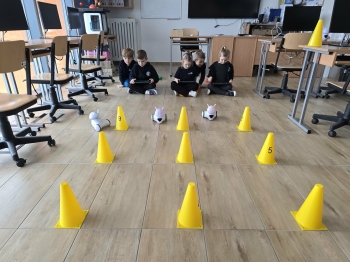 6631d178-9394-4bfe-8466-666ef784fd44