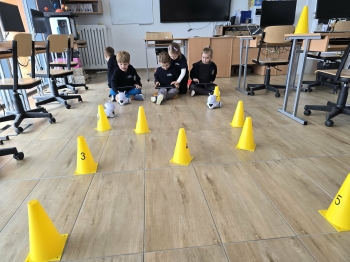 366642a4-6ac7-4a7a-95c0-7965dfb515c9