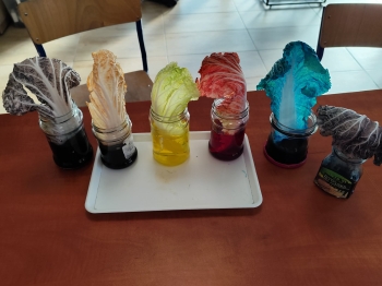 18a45109-5209-42d3-888c-3eceadd6c934