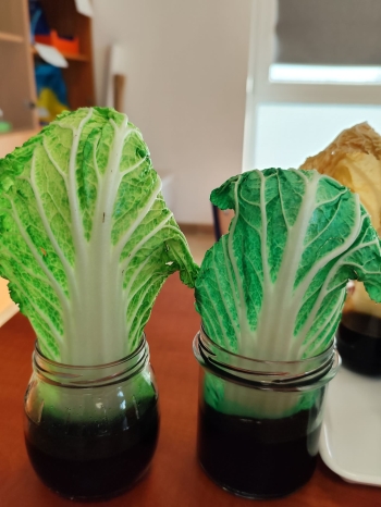 fd38d7ee-4147-4149-9110-ca052bc60389