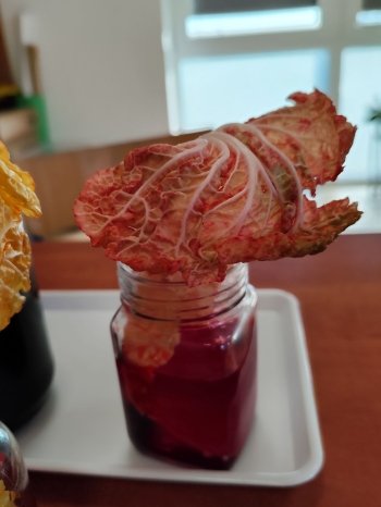 a728c99a-6851-4662-9cfc-96c4d2a55676