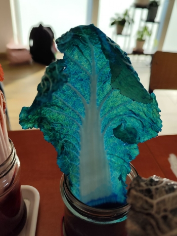 c4c375ee-db96-4e96-bf54-a61b5dd6065a