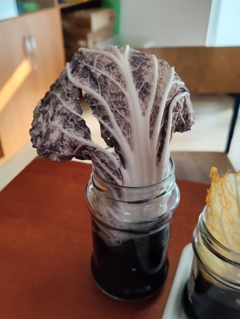 f7e1e4d6-66a6-4d32-95c9-d155150e6781