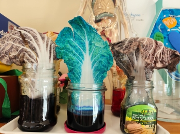 1b57c88d-4357-4263-855d-0dab534b4e03