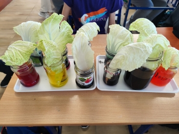 1c71f651-7a23-4162-ad22-d06fbc7173c3