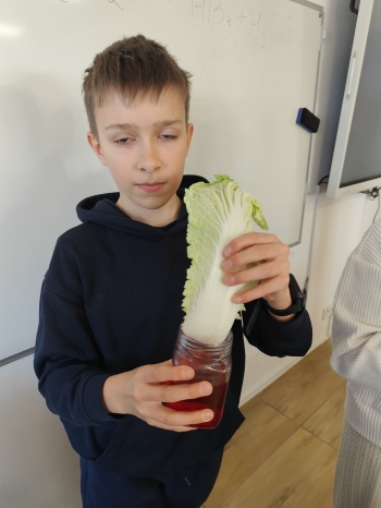 c175a3af-1e64-4b06-9dc6-50bce0f51de0