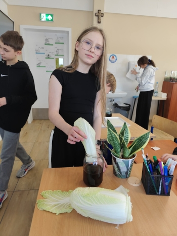 31a6b13e-cd7e-45c3-9c43-31f1a77add5b