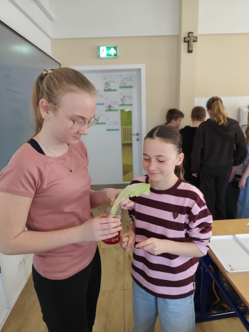 d0a5aeba-ddf8-4219-b74a-409d41475151