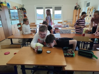 1ad63103-a358-4379-b2f0-e447a69c3100