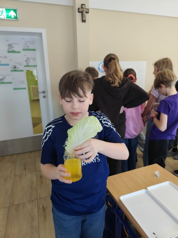 372b6338-743c-4421-9e0f-e73d086cb9db