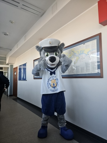 cee31182-8675-4977-957d-a736da241bed