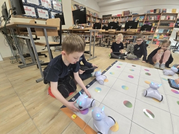 69d7e95a-572f-4376-83c4-5229c1c64415