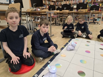 3a34c8f5-97a3-466f-811b-b9c6eac6fa9c