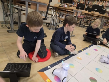 d19ebbfe-78e3-4975-ad78-281b9d3da07d