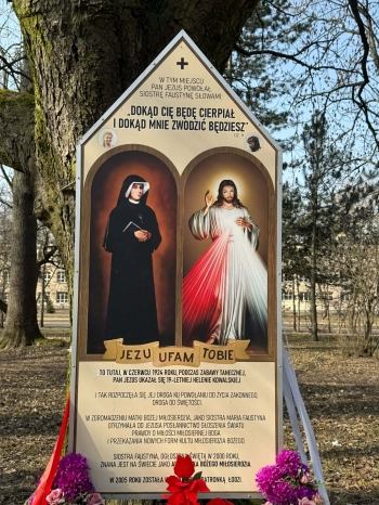 5aa7f7a9-3a3b-48b2-89a0-c8733bc5a55a