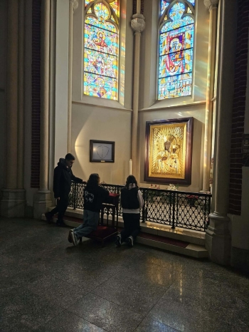 501aabd4-4294-4e17-8fb9-4ed1cba2bf9a