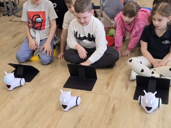 afdc648f-8126-43d3-8e99-9a4232713626