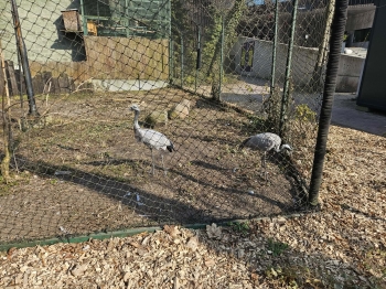 94b46bf6-5497-4f58-abaf-04f4e326919f