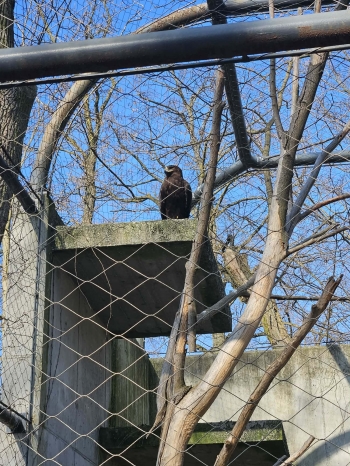 c87fe72c-25be-45f6-a0db-32eff625c045