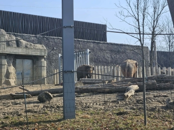 642923c1-57f5-4687-8649-41e90767db9c