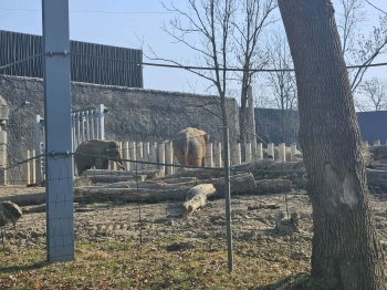 ad380fd8-dd7a-4b5d-af1a-cf0ed4039e3b