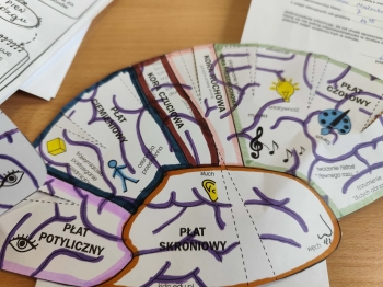 49fff950-bb50-4f72-a8c7-db10f9214574