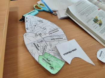 eef77637-c57b-4984-acec-7c84daa835c3