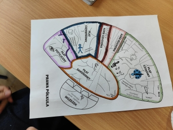 ce88665c-dd62-4cfb-9205-fe1c3da0e319