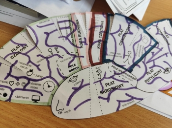 c39ae29d-bb21-40f6-bd39-d2f009318ea9