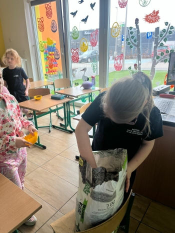 567df711-08b5-451a-b978-1ed918fc84a0